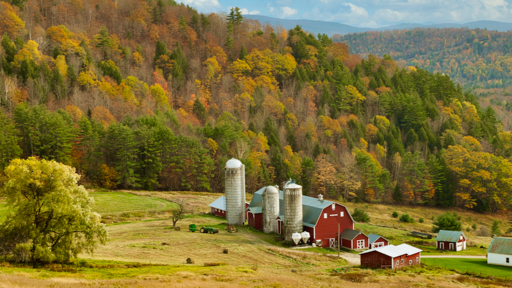 Digital Open In Class A By Bart Bradbury For Hillside Farm FEB-2021.jpg